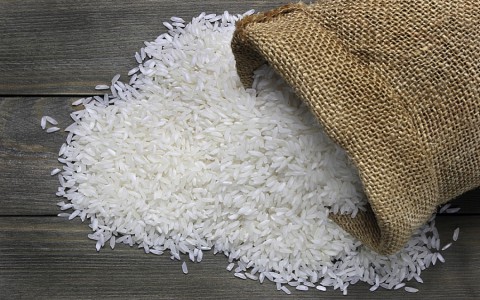 Giá lúa gạo hôm nay ngày 24/10: Giá lúa gạo đi ngang